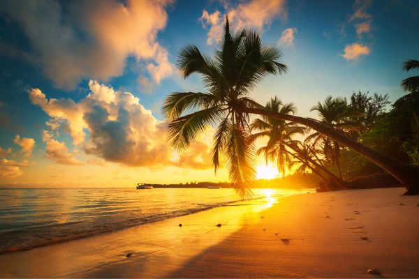 Dominican Republic Coral Reefs