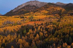 Best Time to Visit Aspen, Colorado: Ski Season and Summer Guide
